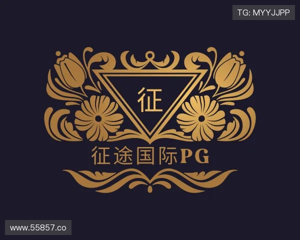 探究征途国际pg